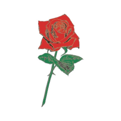 �^�g�D�[�V�[���@�K�N���