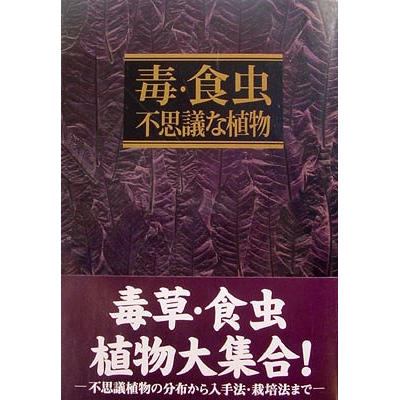 �ŁE�H���@�s�v�c�ȐA��