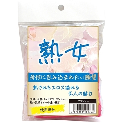 �n���@�g�p�ς݃u���W���[