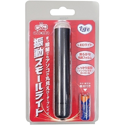 振動スモールライト 振動スモールライト