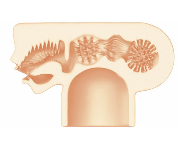 �Ê��݂���[�ځ[�@�i�����j