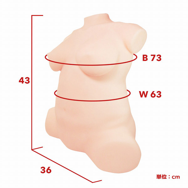 ���{�����A���{�f�B�{�R�c�{�[���V�X�e���@�i�ۂ�����莝�c�܂�j�@��w�\��