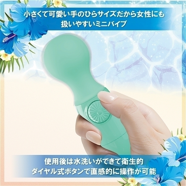 �k�������i���R�j�@�^�[�R�C�Y