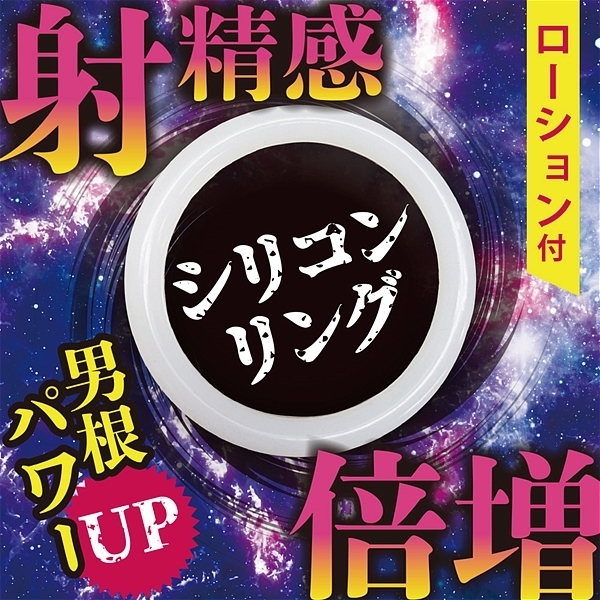 �ː����{���@�i�V���R�������O�j