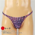 �����Y�@�o�u�����Q�������m�[�V�[���s�o�b�N�@�i���b�h�j�@�k�T�C�Y(�����W�F���[)