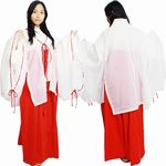 �ޏ�����i�H�D�t�j(�R�X�v���ߑ�)