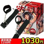 �y�P�O�R�O�~�����ʌ���z�d�k�������i�C�[���b�N�j�@�h�A�r�S��������l�l�P�_���聄(��������)